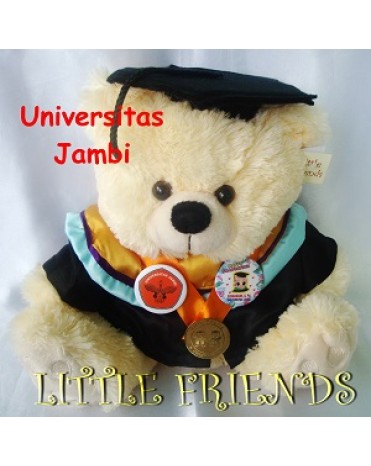 Boneka Wisuda Universitas Jambi (30 cm)